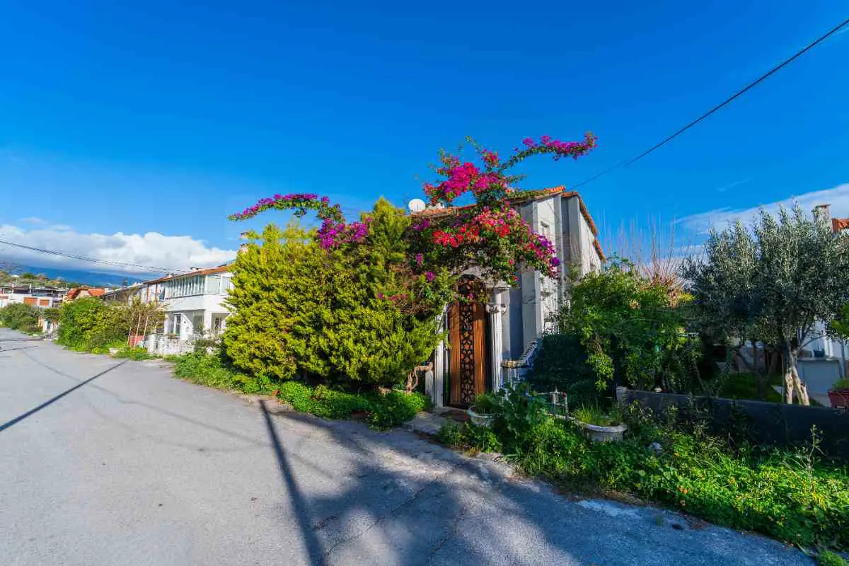 ARDIÇ PLAJINA 5 DAKİKA YÜRÜME MESAFESİNDE HUZURLU BİR YAZLIK