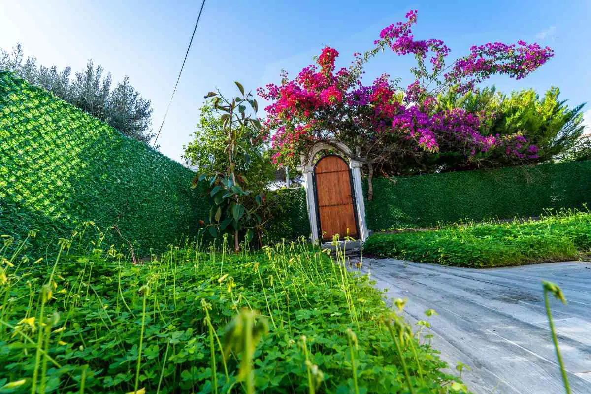 ARDIÇ PLAJINA 5 DAKİKA YÜRÜME MESAFESİNDE HUZURLU BİR YAZLIK