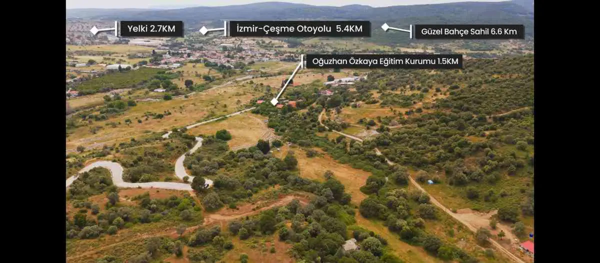 İZMIR GÜZELBAHÇE ÇAMLI'DA TEK TAPULU GENIŞ ZEYTINLIK
