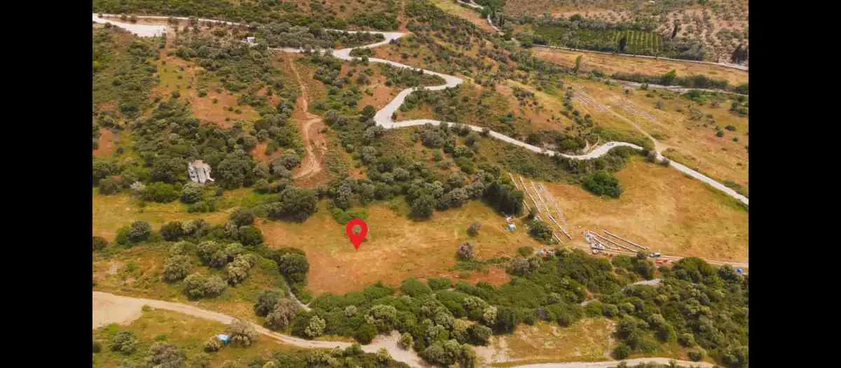 İZMIR GÜZELBAHÇE ÇAMLI'DA TEK TAPULU GENIŞ ZEYTINLIK