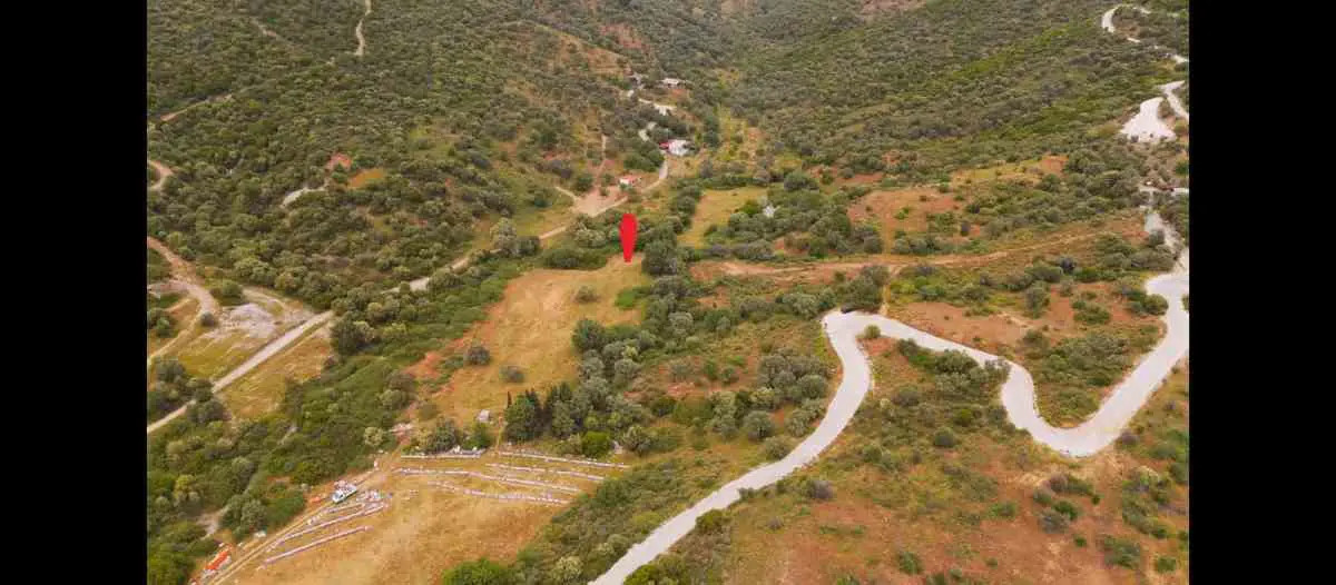 İZMIR GÜZELBAHÇE ÇAMLI'DA TEK TAPULU GENIŞ ZEYTINLIK