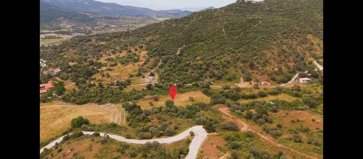 İZMIR GÜZELBAHÇE ÇAMLI'DA TEK TAPULU GENIŞ ZEYTINLIK