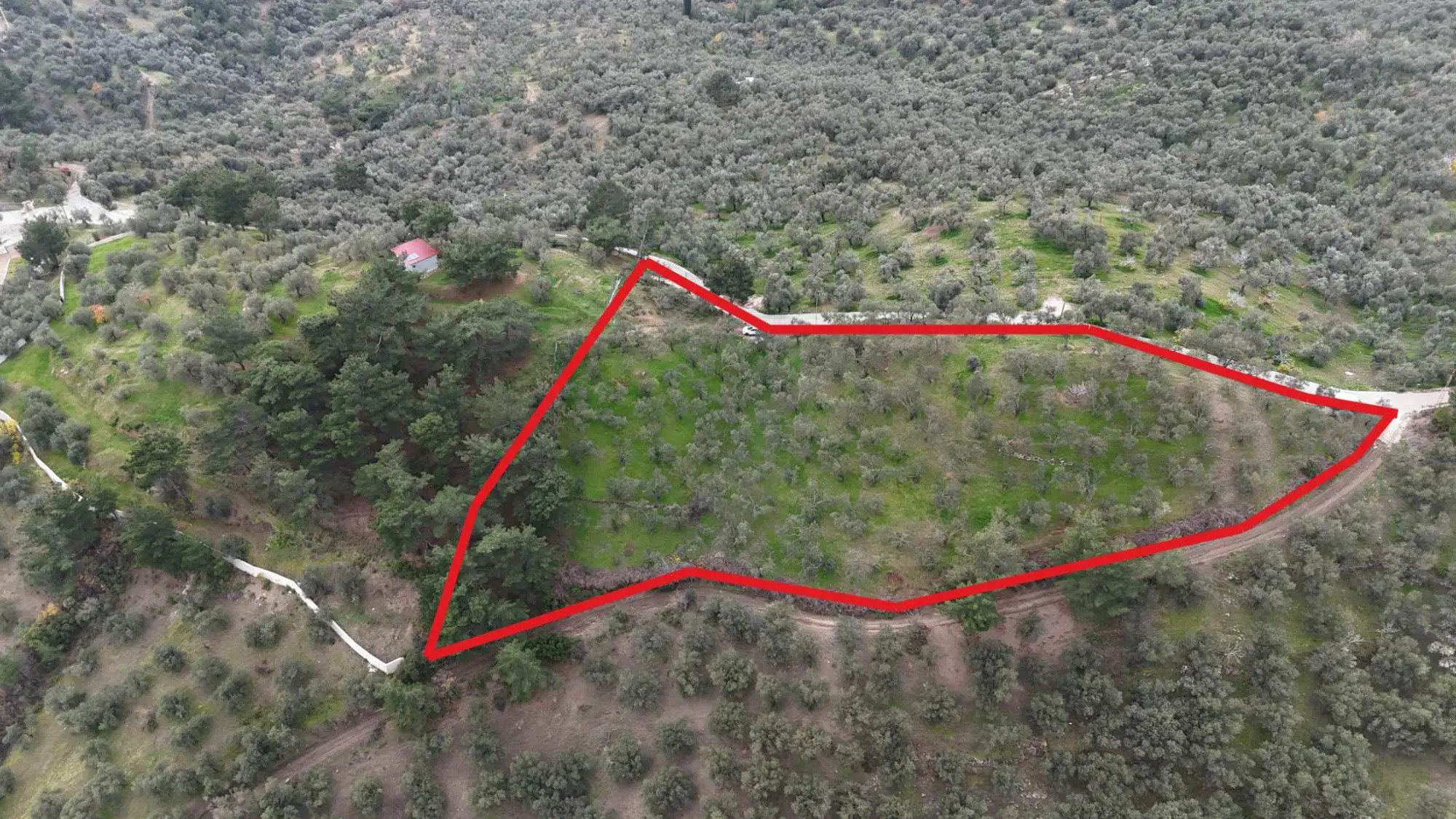 KAZDAĞLARI ETEĞINDE, PANORAMIK DENIZ MANZARALI 5100 M² ZEYTINLIK